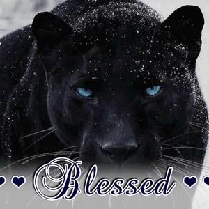 Meet your Posher, Rhonda